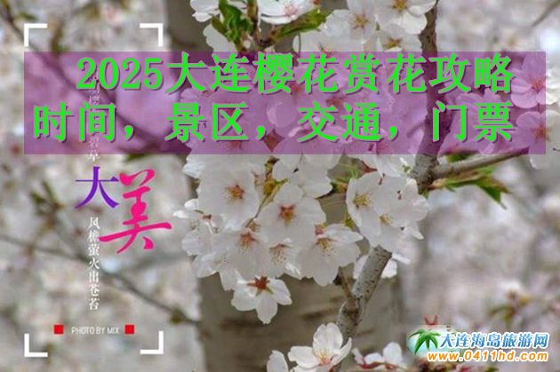 2025Bѻp